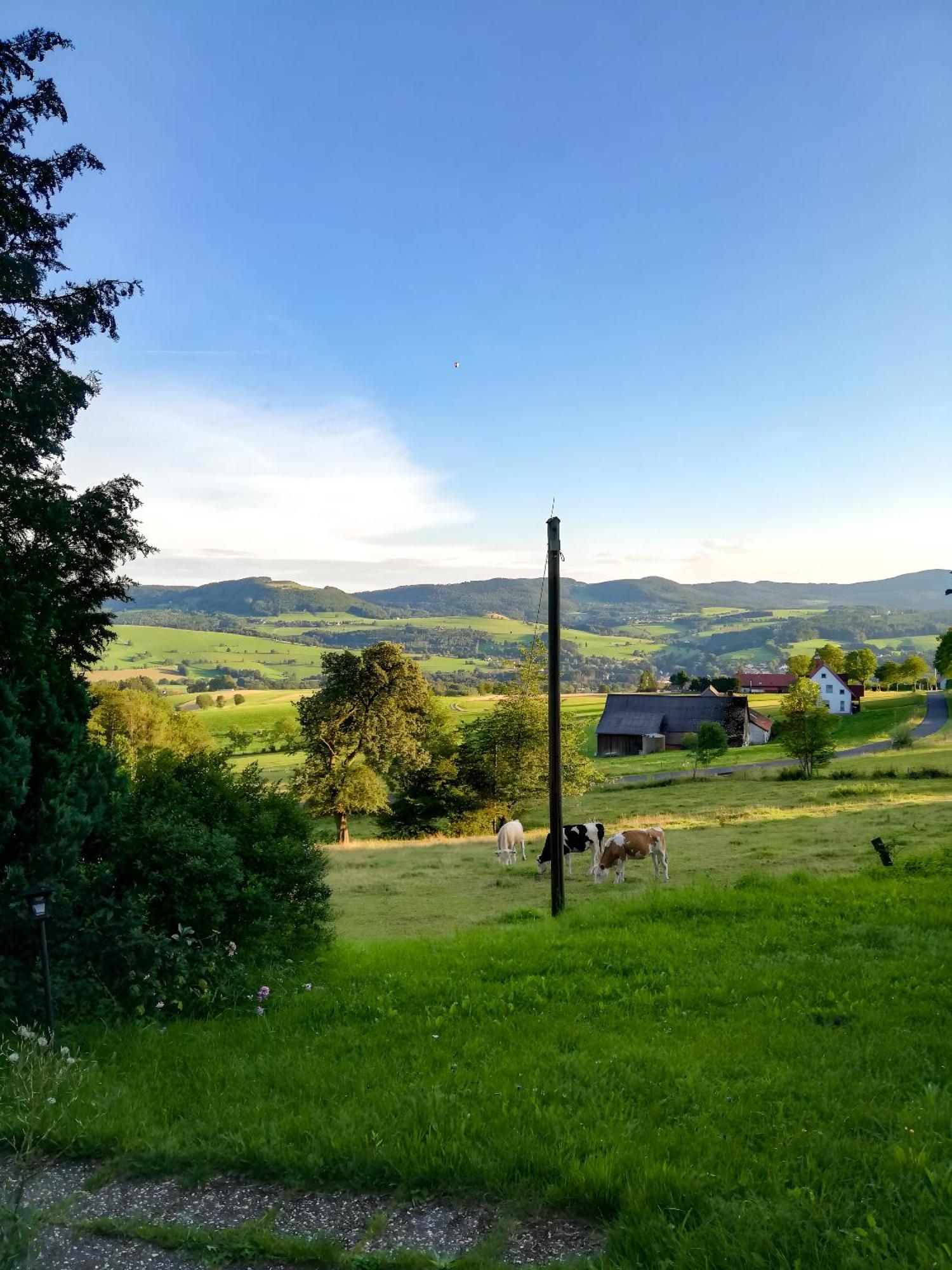 Ferienwohnung Rhoenpanorama Gersfeld Exterior foto
